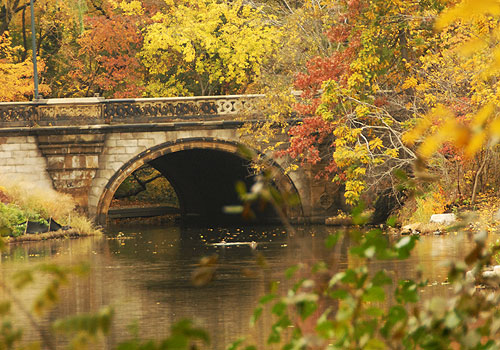 Balcony Bridge Central Park