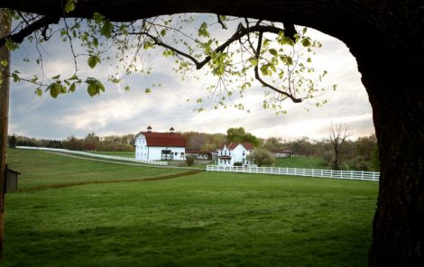 Chatham University expansion
