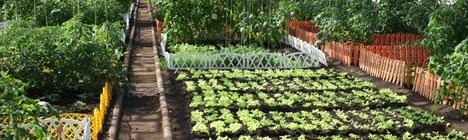 Eco-farming under glass