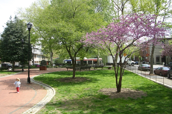 Urban trees Philadelphia