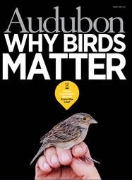 Cover of Audubon Magazine March 2013