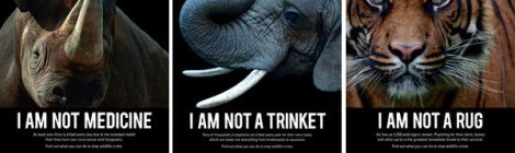WWF Anti Poaching Campaign