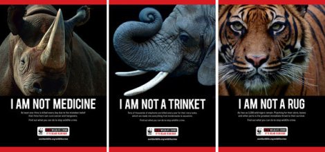 WWF Anti Poaching Campaign
