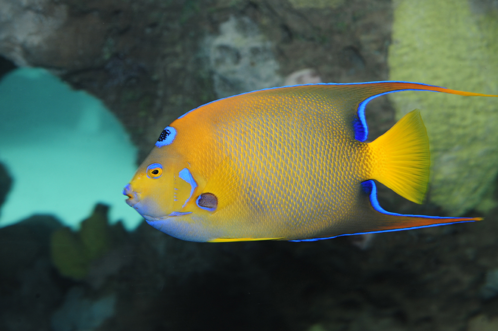 by Julie Larsen Maher.