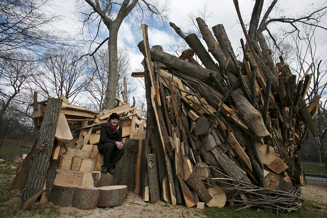 Treehouse at BBG Photo Caroline Voagen Nelson