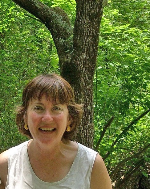 Green News Update Editor