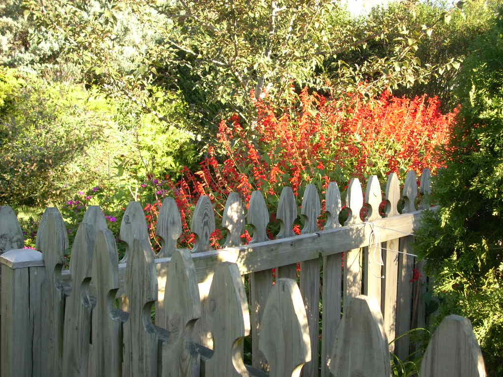 Toward the end of summer - August light