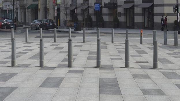 Bollards in Washington DC. Courtesy of Lauren Ober.