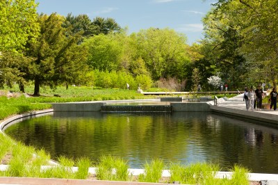 Splendid water feature in the Native Flower Garden at New York Botanical Garden