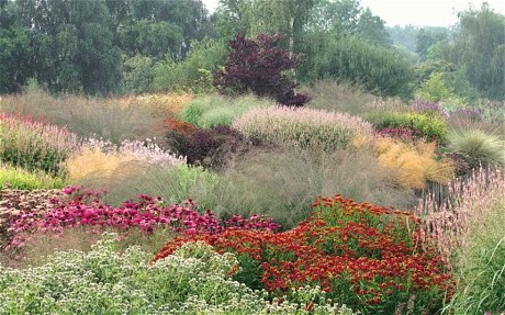 Earlier work by Piet Oudolf, Pensthorpe in Norfolk