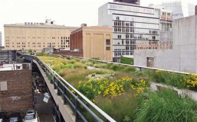 The High Line in New York, Piet Oudolf
