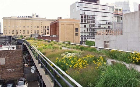 The High Line in New York, Piet Oudolf