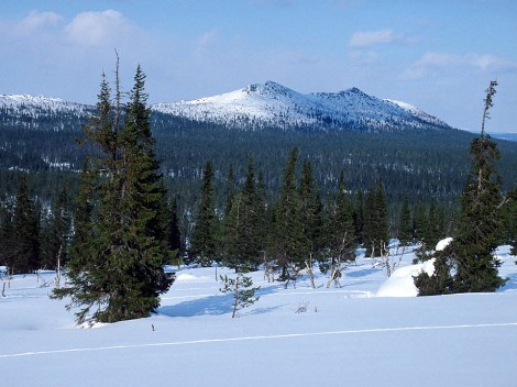 The Urho Kekkonen National Park which lies in the Green Belt of Fennoscandia