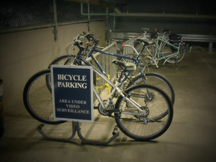 Bicycle racks at the Carnegie Museum of Natural History