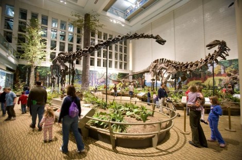 The LEED Silver expansion at the Carnegie Museum of Natural History was accomplished by closing in a courtyard. It tripled the display space for the new hall Dinosaurs in Their Time.