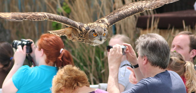 Free flight in FliteZone Theatre