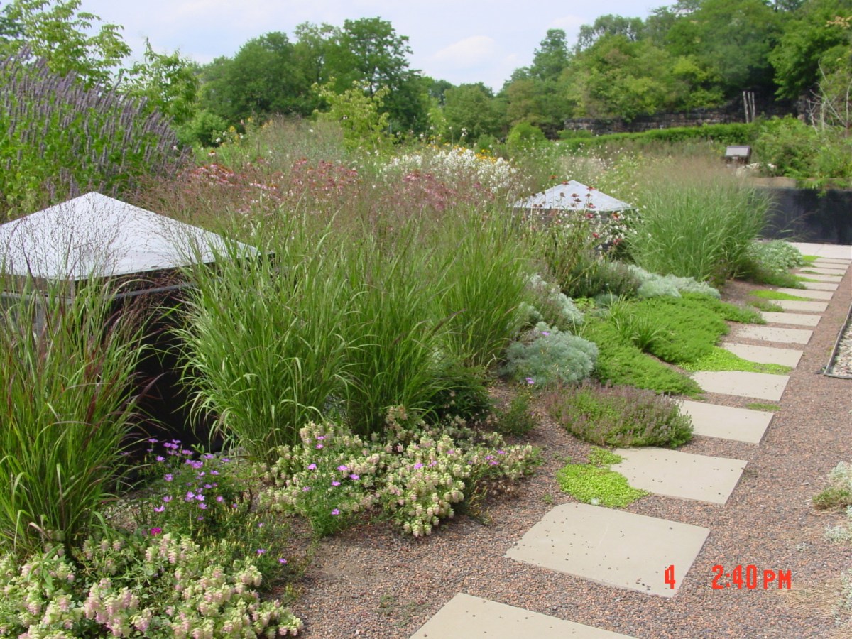 Green roof atop the Water's Edge building helps retain storm water and insulates the building.