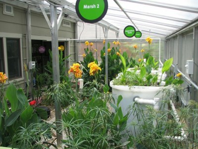 The "marsh machine," an ecological wastewater system.