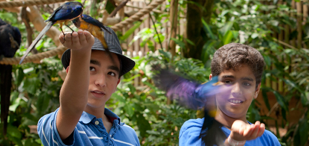Up close and personal experiences for a school group at the Aviary can include hand feeding and other contact.