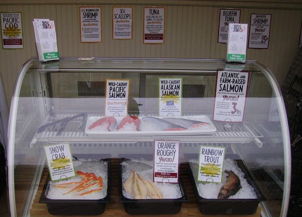 Sustainable seafood stand and a Seafood Watch card are interpretive elements that assist visitors in deciding what's for dinner, the sustainable way.