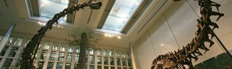 Dinosaurs in their Time at the Carnegie Natural History Museum.