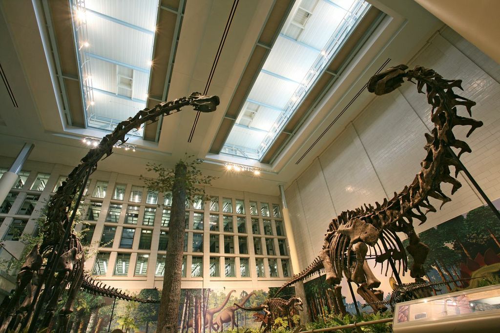 Dinosaurs in their Time at the Carnegie Natural History Museum.