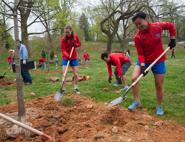 "Fieldwork" by American University students (ranked #9). Photo courtesy of Jeff Watts.
