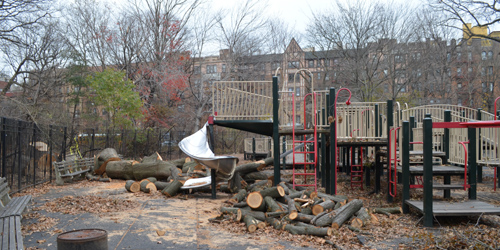 Downed trees near the Lincoln Playground in Brooklyn's Prospect Park.