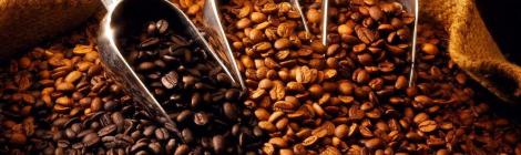 Coffee - a world commodity and beverage