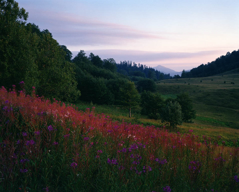 Minescape Project Bosnia All rights reserved Brett Van Ort