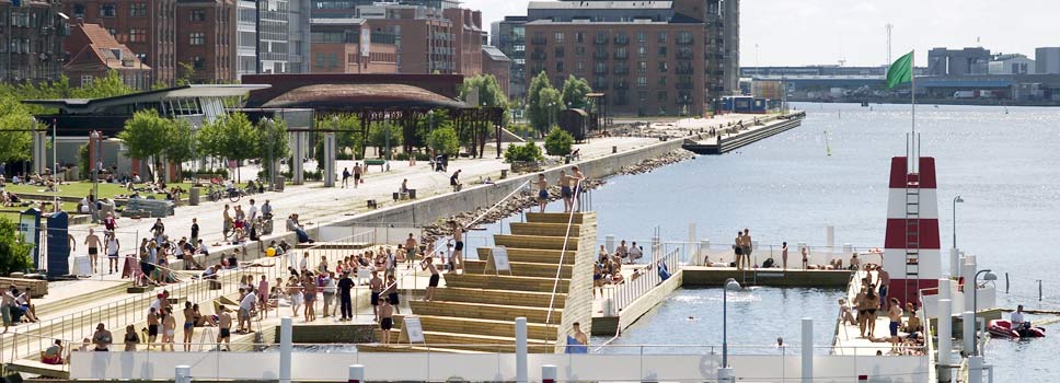 Swimming in the harbor!