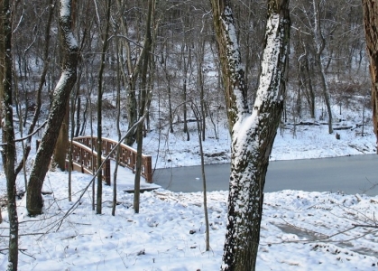 Restored woodlands pond in December 2012. It will be encircled by a Japanese garden, now being designed.