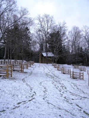 Log cabin from the 1700's with the recently planted heirloom apple orchard