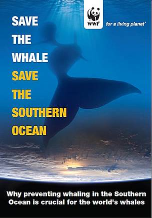 Save the Whale Save the Southern Ocean WWF