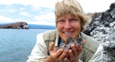 Dr Dee Boersma with Magellenic chicks
