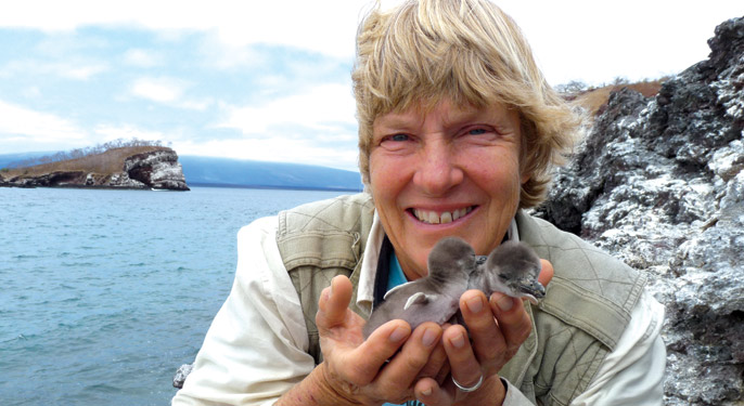 Dr Dee Boersma with Magellenic chicks