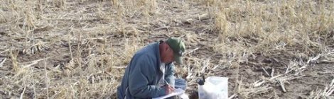 Geologist Jim Kilburn, now retired from the U.S. Geological Survey, collects soil from Kansas in 2008. Courtesy of USGS