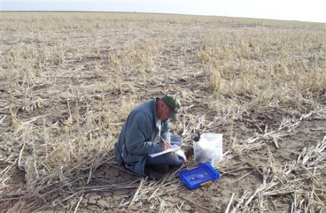 Geologist Jim Kilburn, now retired from the U.S. Geological Survey, collects soil from Kansas in 2008. Courtesy of USGS