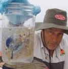 Capt. Charles Moore with ocean trash