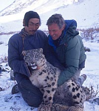 George Schaller with an anesthetized snow leopard