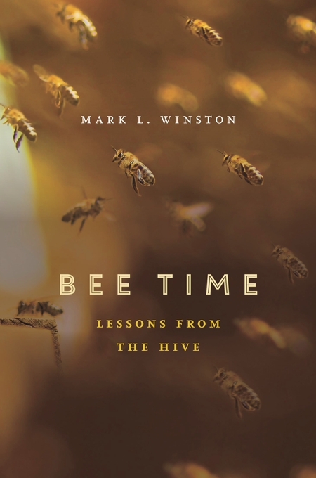 Bee Time Mark Winston