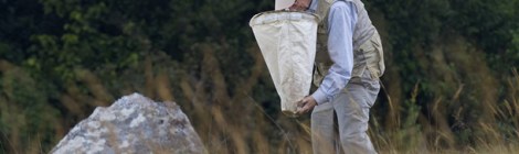 EO Wilson collecting insecfts photo by Piotr Naskrecki