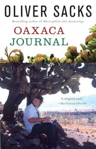 Oaxaca Journal