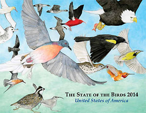 State of the Birds Report 2014