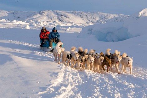 Dogsled trip to Sermeq Avanardleq, Greenland,  March 12, 2008 (Courtesy of EIS)