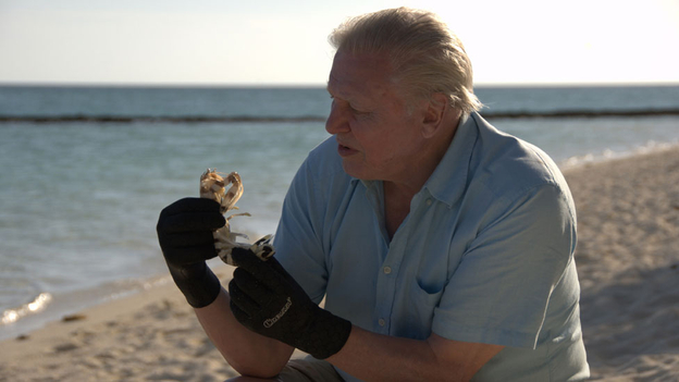 Attenborough at the Great Barrier Reef - his newest documentary TV production