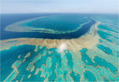 Aerial view of the Great Barrier Reef Courtesy of Business Insider