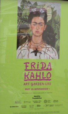 One of the signature works in the NYBG exhibition, Self-Portrait with Thorn Necklace and Hummingbird, is also used as the show's logo. Normally, the hummingbird is considered a love charm, but here the blackened bird appears to be dead. (Harry Ransom Center, The University of Texas at Austin. © 2014 Banco de México Diego Rivera Frida Kahlo Museums Trust.)