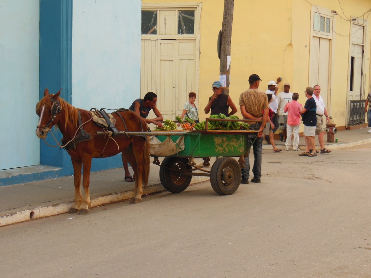 The vegetable huckster in the city of Trinidad