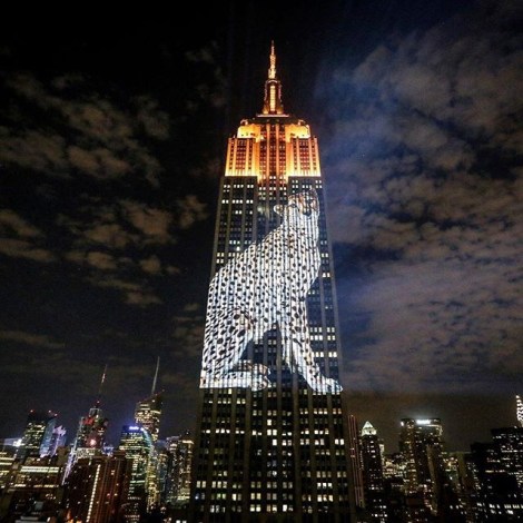 Racing Extinction event at the Empire State Building. Image by Joel Sartore (rights reserved)
